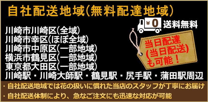 【無料配達地域:川崎市川崎区(全域)、川崎市幸区(ほぼ全域)、川崎市中原区(一部地域)、横浜市鶴見区(一部地域)、東京都大田区(一部地域)、川崎駅・川崎大師駅・鶴見駅・尻手駅・蒲田駅周辺】当日配達(当日配送)も承ります。